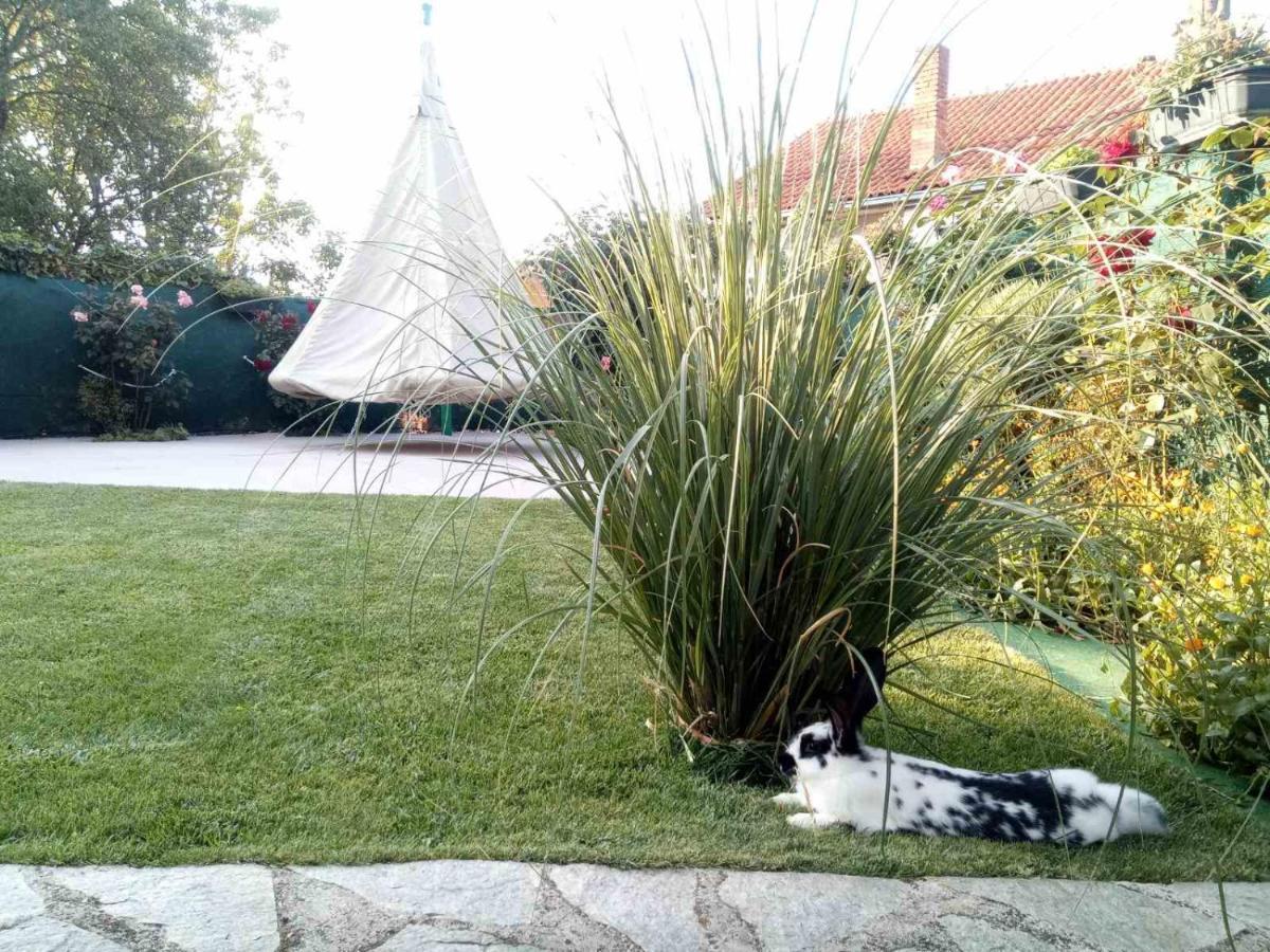 Yard House Trpejca Hotel Ohrid Luaran gambar